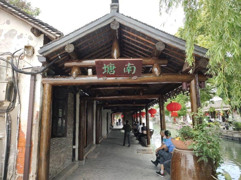 重庆城口:冬季香菇抢鲜上市